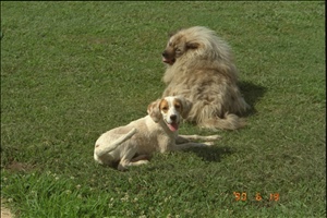 9400 1220 cew familyIMG0013.jpg